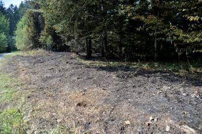 150 mÂ² Wald brannten in Murrhardt-Karnsberg